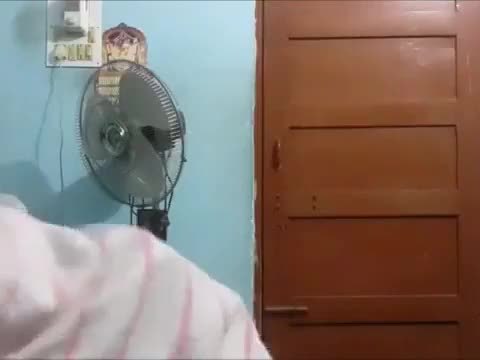 Desi tamil cute wife blowjob and hard fucking by husband elder brother with audio - wowmoyback